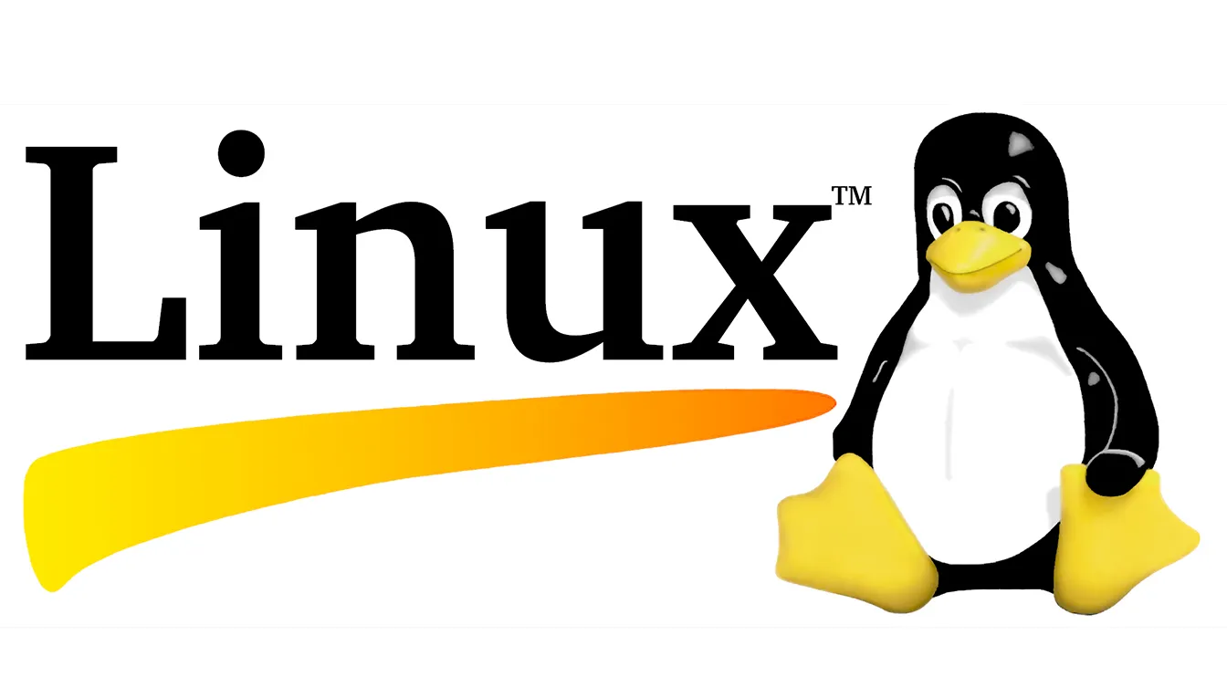 Logo de Linux avec la mascotte Tux, un manchot noir et blanc au bec et aux pattes jaunes, assis à droite du mot « Linux » stylisé.
